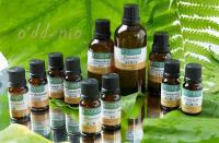 真正薰衣草100%純精油